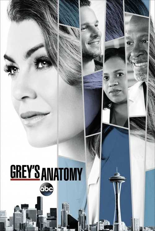 مسلسل Greys Anatomy الموسم 14 الحلقة 4